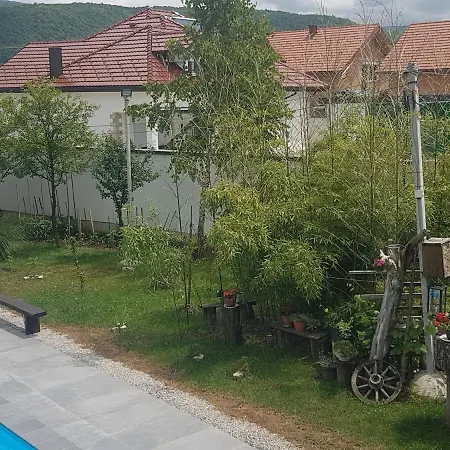 Edi *